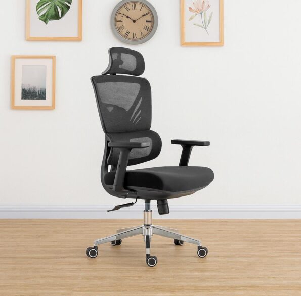 Picasso mesh highback orthopedic office chair